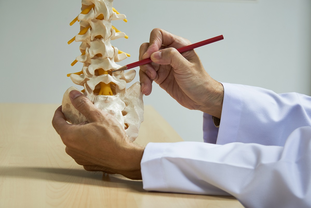 The Best Chiropractor in Mission Viejo Can Rehabilitate and Correct Spinal Disc Issues