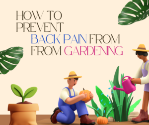 Back pain from gardening is preventable.