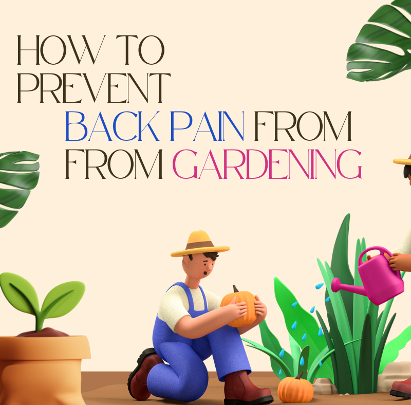 How to Prevent Back Pain from Gardening