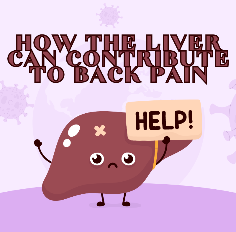 How the Liver Can Contribute to Back Pain